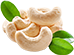 Cashew