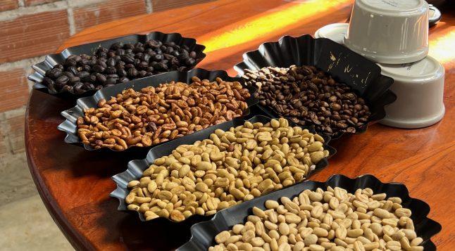 Puidust laual on mustades kandikutes kohvioad eri töötluse ja röstimisastmetega. Näha on toored rohelised oad, heledad ja tumedamad röstitud oad ning väga tumedad oad.