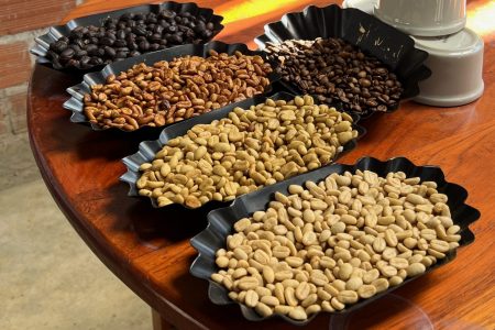 Puidust laual on mustades kandikutes kohvioad eri töötluse ja röstimisastmetega. Näha on toored rohelised oad, heledad ja tumedamad röstitud oad ning väga tumedad oad.