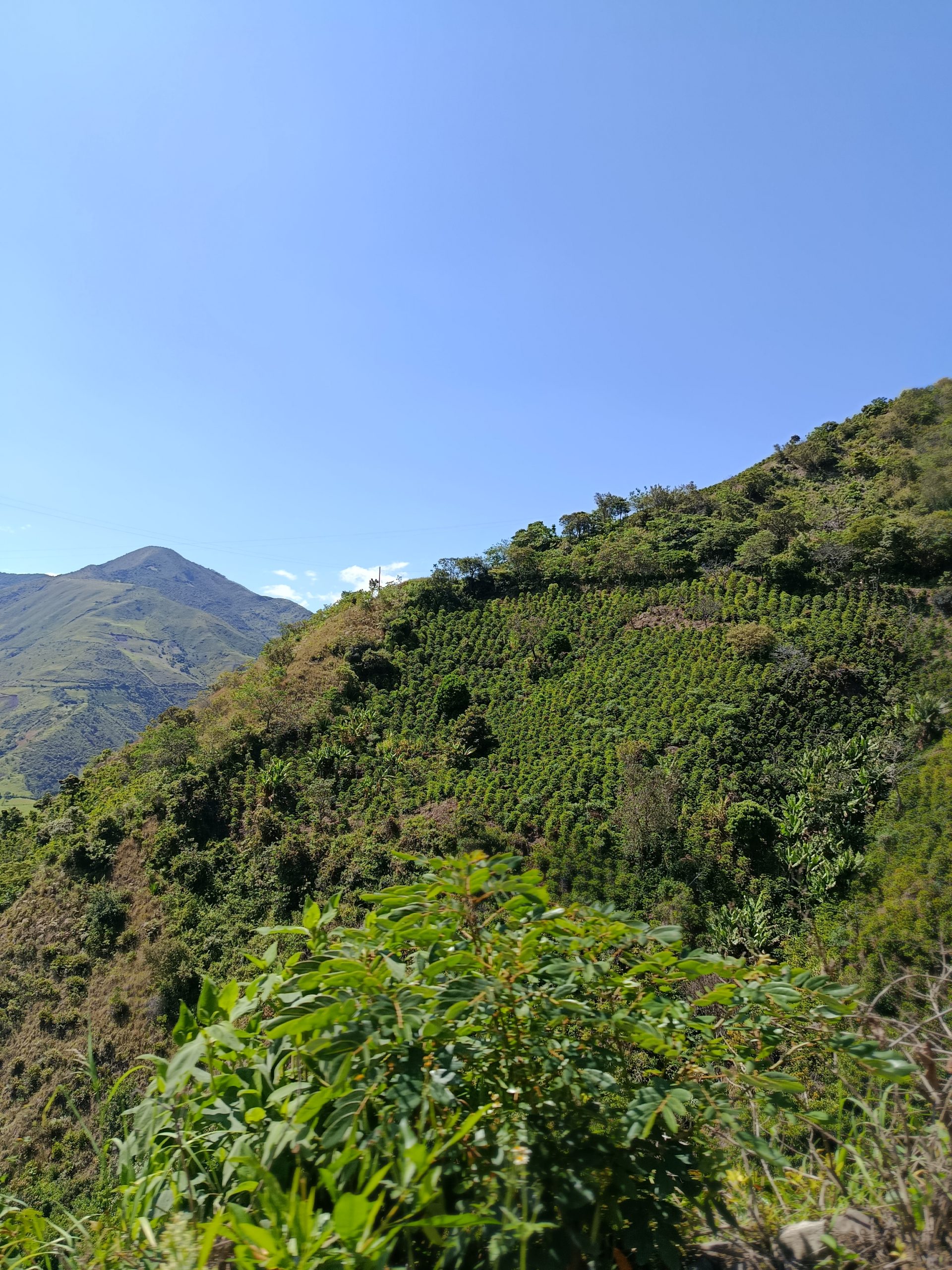 Nariño landscape