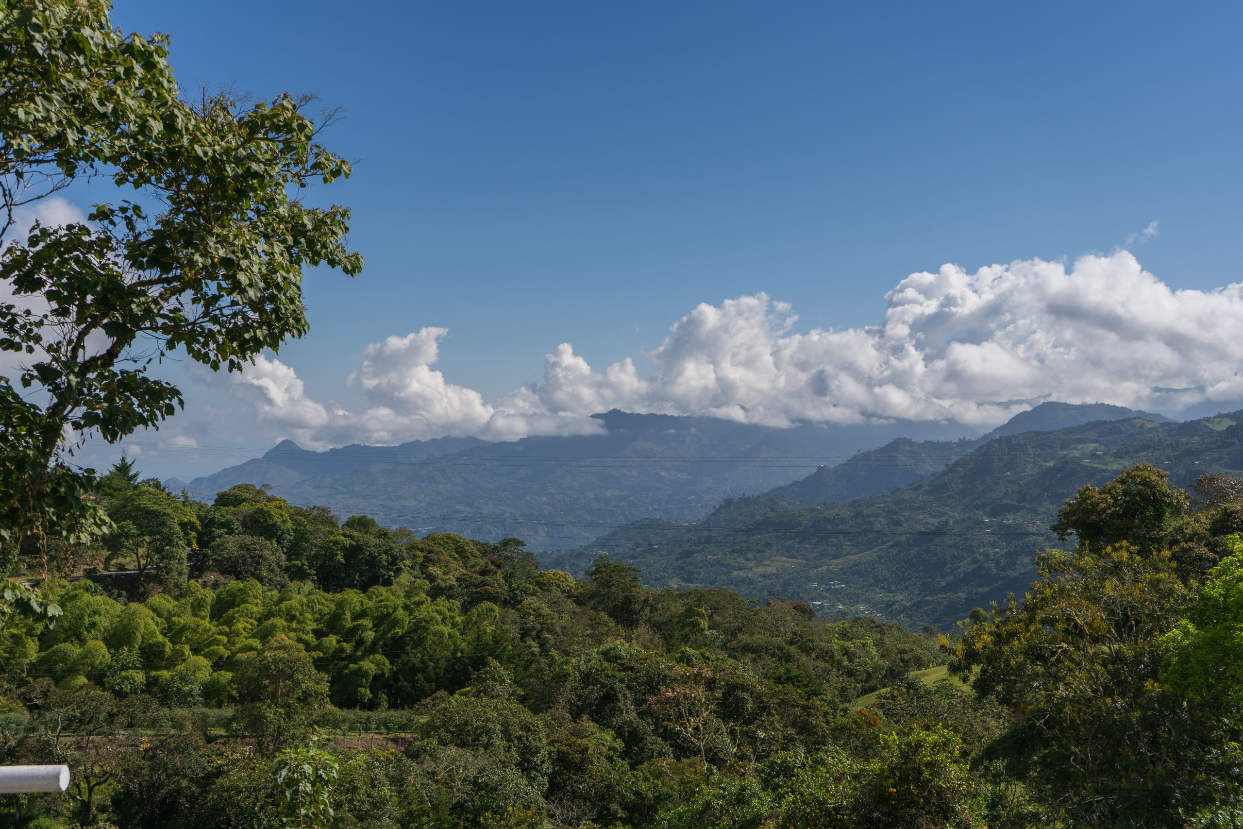 La Unión, Nariño