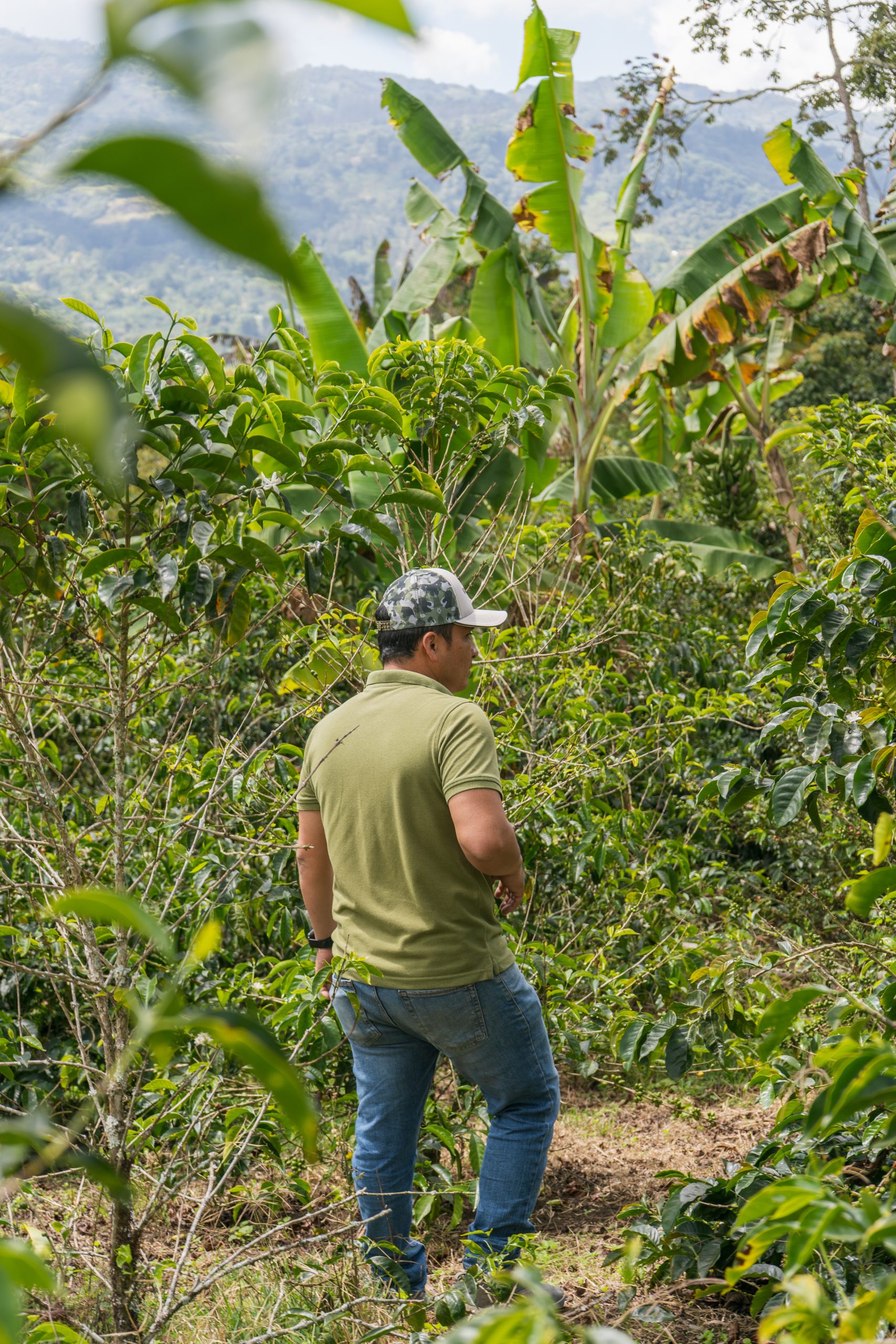 Carlos Estrella