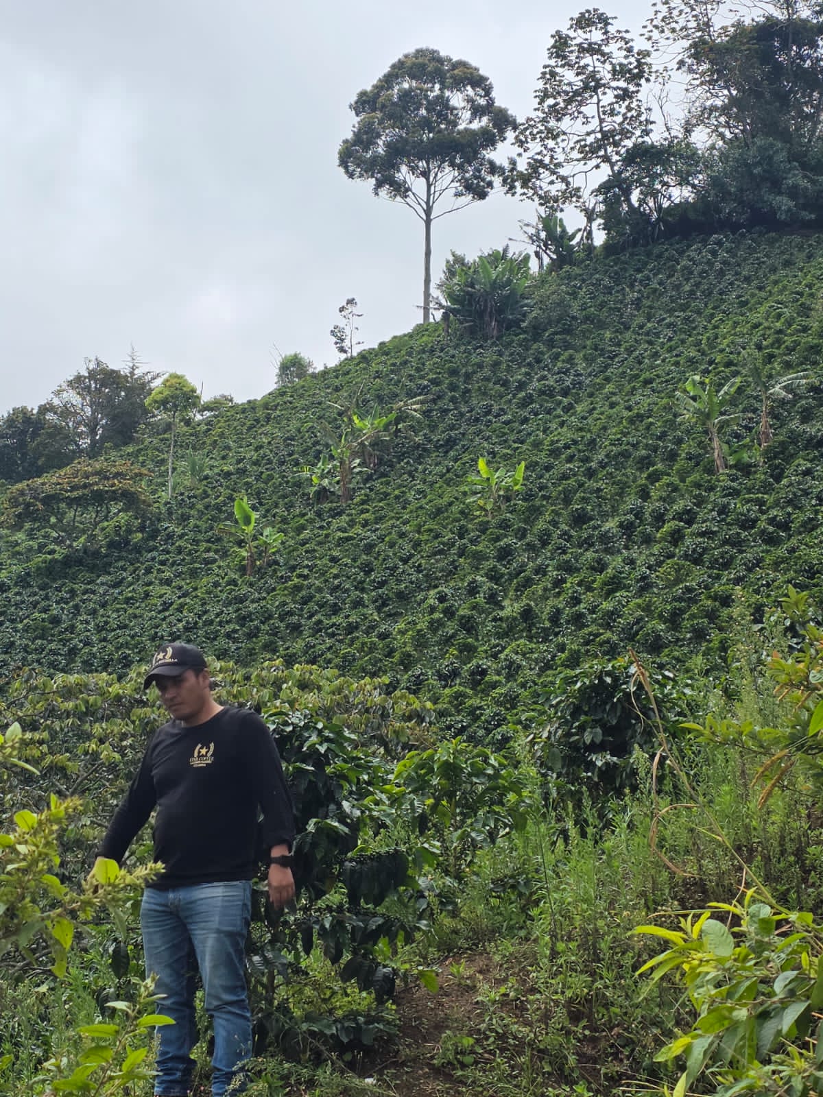 Carlos farm